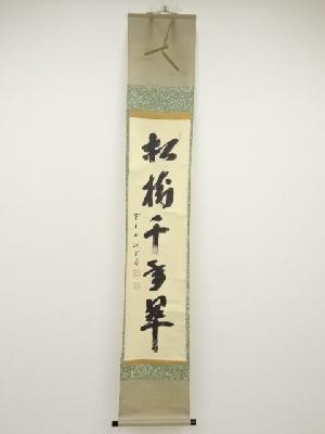 前大徳藤井誡堂筆　「松樹千年翠」一行書　肉筆紙本掛軸（共箱）